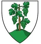 Balatonkenese Város Önkormányzata